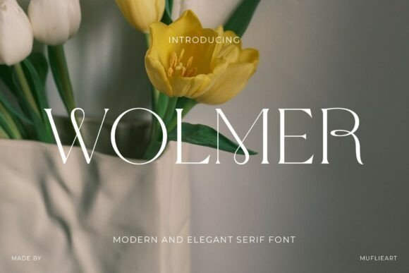 Wolmer: Where Modern Elegance Meets Fluid Artistry